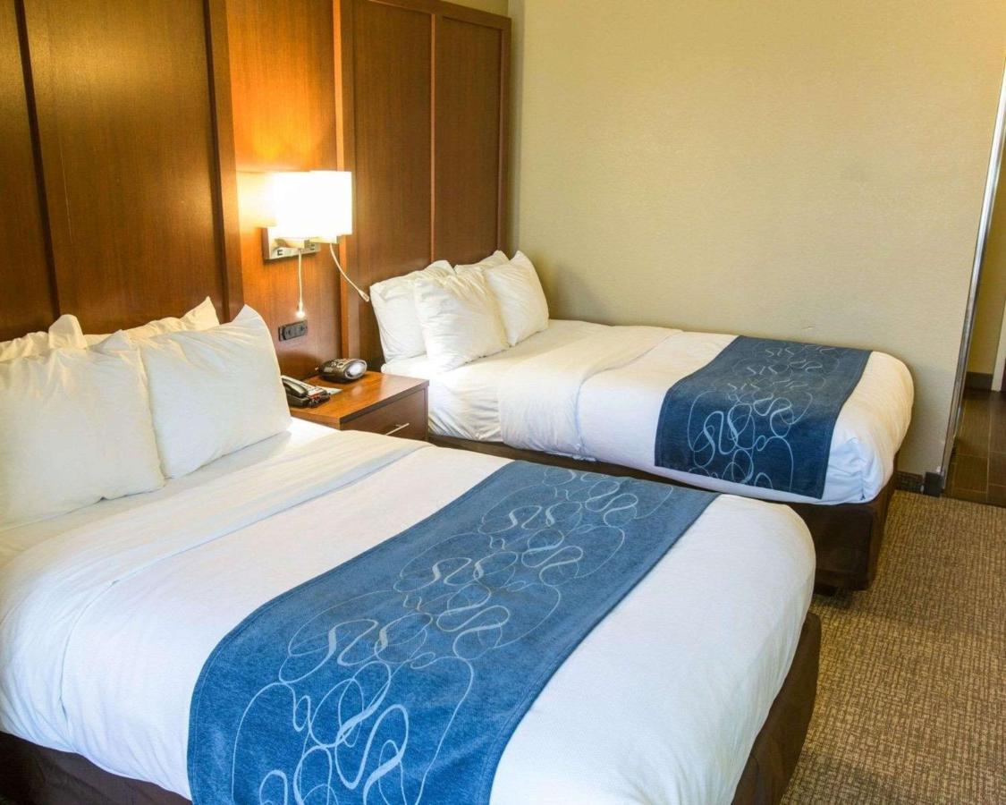 Comfort Idabel